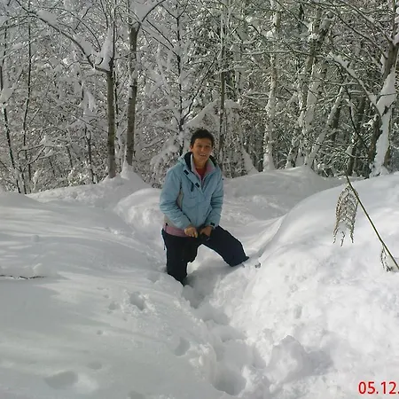 Studio Jesenice شقة